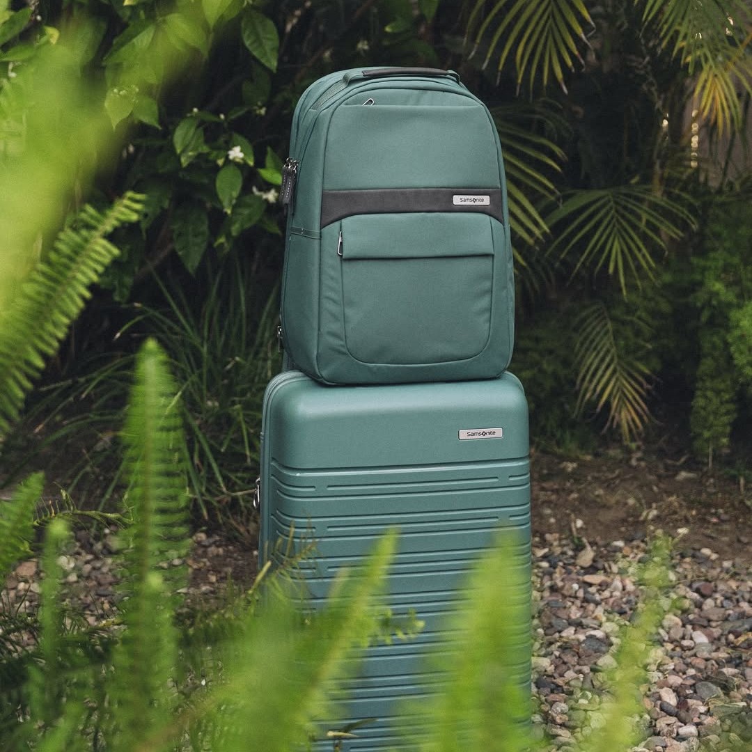 Kohl's luggage